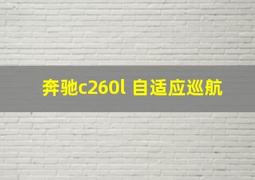 奔驰c260l 自适应巡航